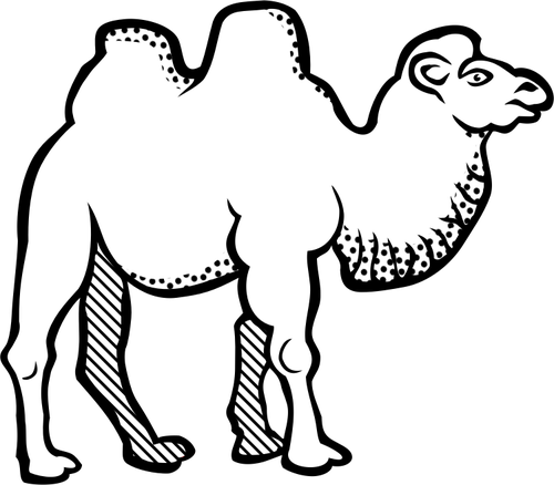 500x438 Drawing Of Camel With Spotty Throat Line Art