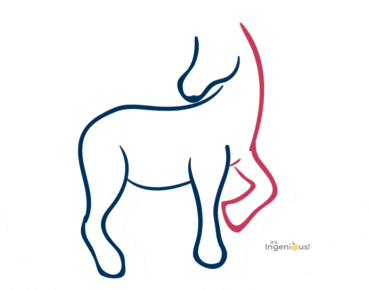 735x577 How To Draw A Beautiful Unicorn For Kids It's Ingenious!