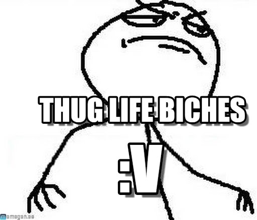 512x439 Thug Life Biches