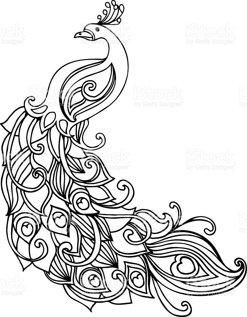 800x1024 Aquarium Drawing Thumb Printing For Free Download