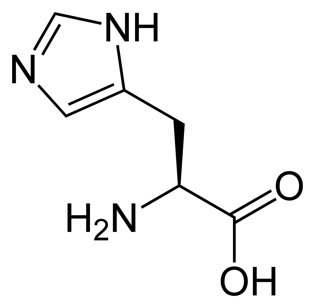 1300x1272 Filel Histidine Skeletal