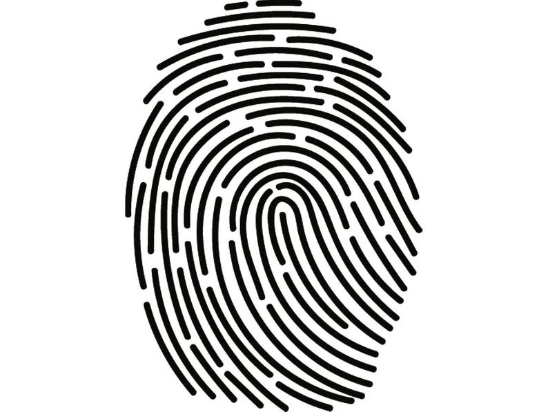 794x597 Finger Print Hand Fingerprint Id Identity Palm Reading Law Etsy