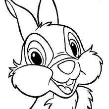 220x220 Thumper Coloring Pages