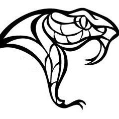 237x237 North Canyon Distance Project On Twitter Come Out Support Your