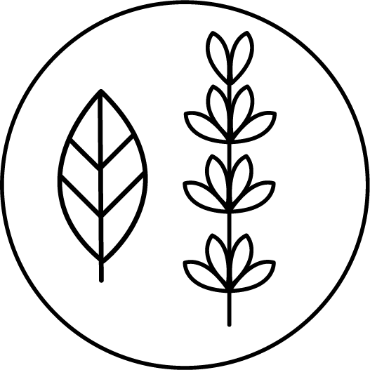 527x527 Bay Leaf Thyme Restaurant