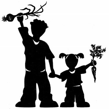 365x365 rochester roots on twitter can anyone identify what's growing