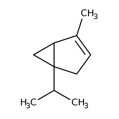 500x500 Showing Food Common Thyme