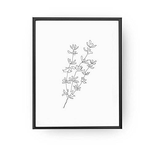 500x500 Thyme Minimal, Home Decor, Herbs Print, Botanical Art