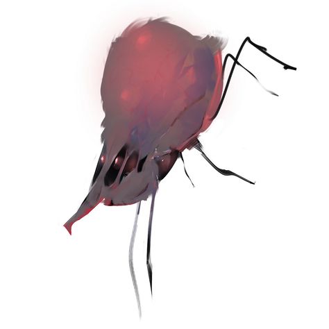 474x474 Ordinary Worm Insetto Sanguivoro