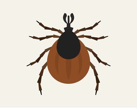 440x350 tick talk on july harris center