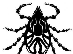 310x233 Tick Bug Vector Clip Art Free Vectors Ui Download