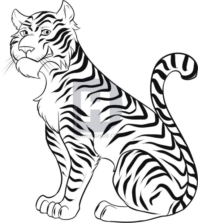 640x720 How To Draw A Cartoon Tiger, Step