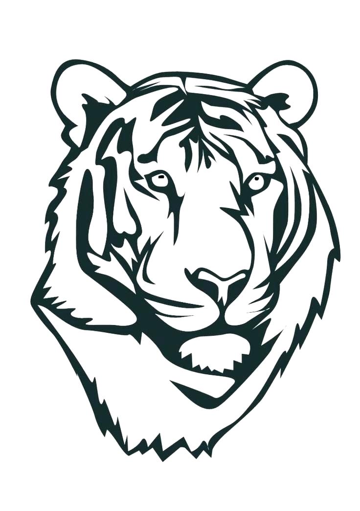 736x1044 Tiger Cub Coloring Pages Pretty Cute Cartoon Drawing