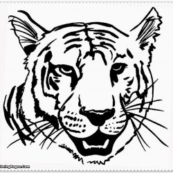 250x250 Coloring Pages Of Animals Realistic White Tiger Cubs And Lions