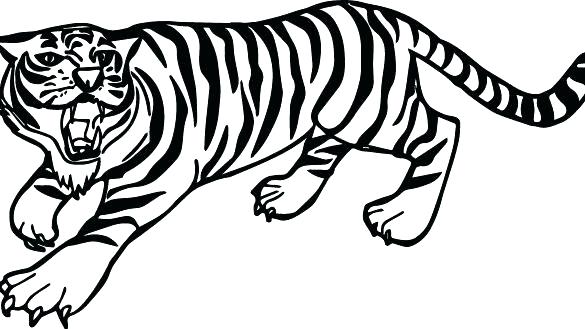 585x329 Coloring Pages Of Tiger Cubs Animals Online Pag Auchmar