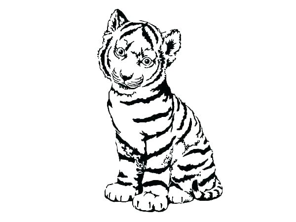 600x450 Coloring Pages Of Tigers Coloring Pages Of Tiger Cubs Tiger Cub