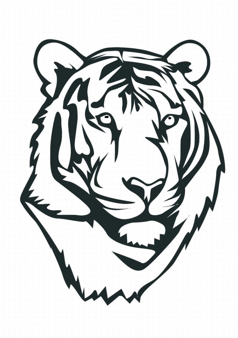 Tiger Cub Drawing | Free download on ClipArtMag