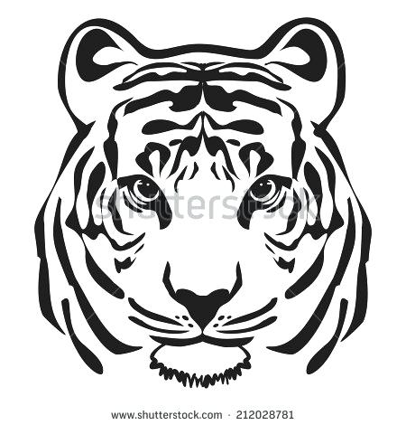 Tiger Cub Drawing | Free download on ClipArtMag