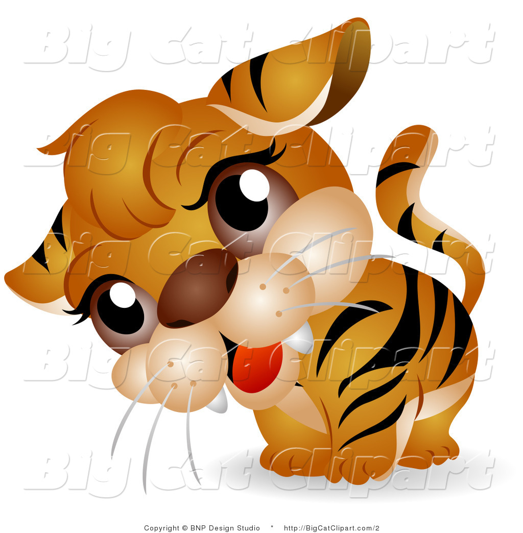 1024x1044 Big Cat Clipart Of A Curious Tiger Cub Tilting Its Head