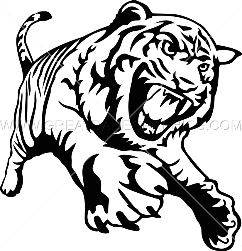 Tiger Drawing