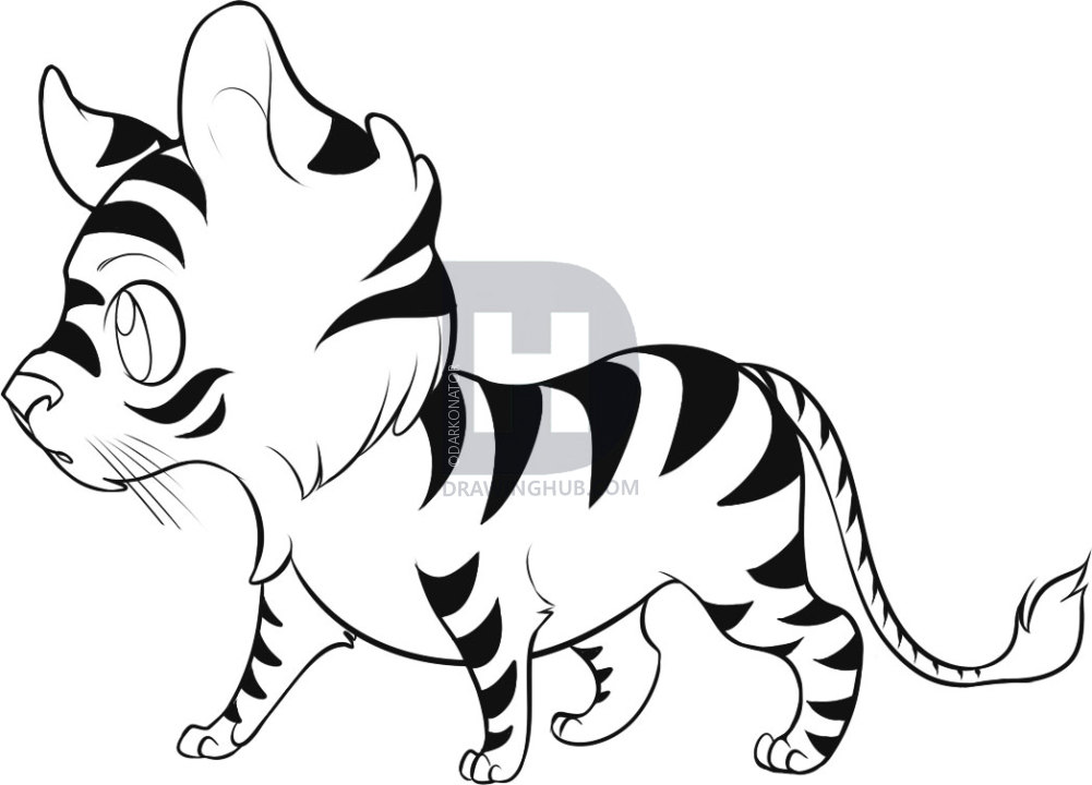 1001x720 How To Draw An Easy Tiger, Step