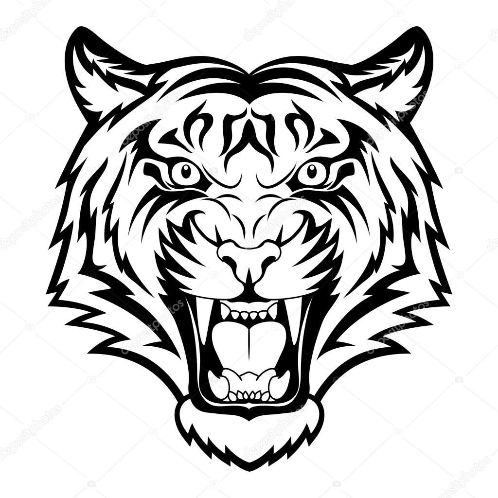 1024x1024 Roaring Tiger Head Drawing Tiger Face