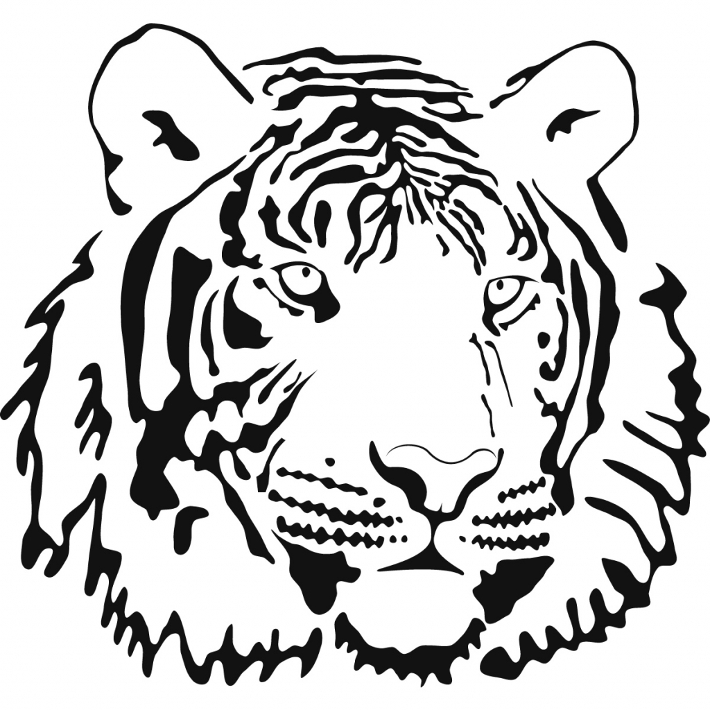 1024x1024 Tiger Drawing Clipart Clip Art Images