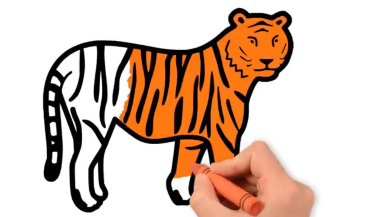 1280x720 Tiger Drawing And Colouring Coloring Pages For Kids Art