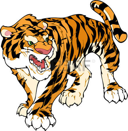 440x450 Tiger Drawing Clipart Collection