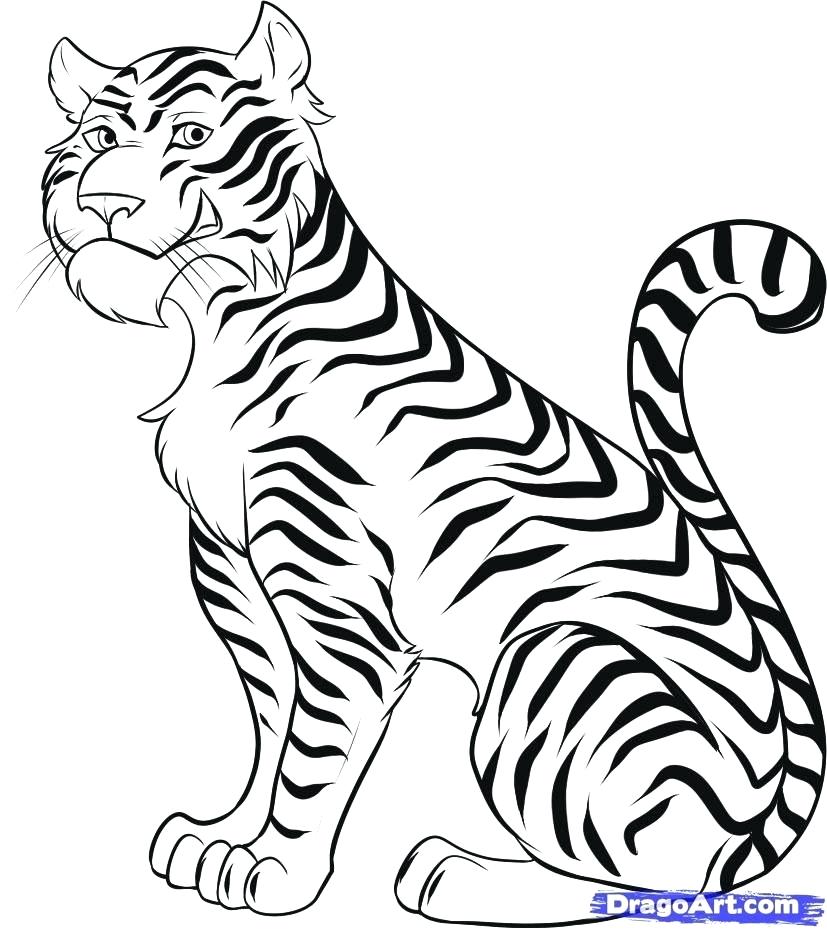 Tiger Drawing Easy | Free download on ClipArtMag