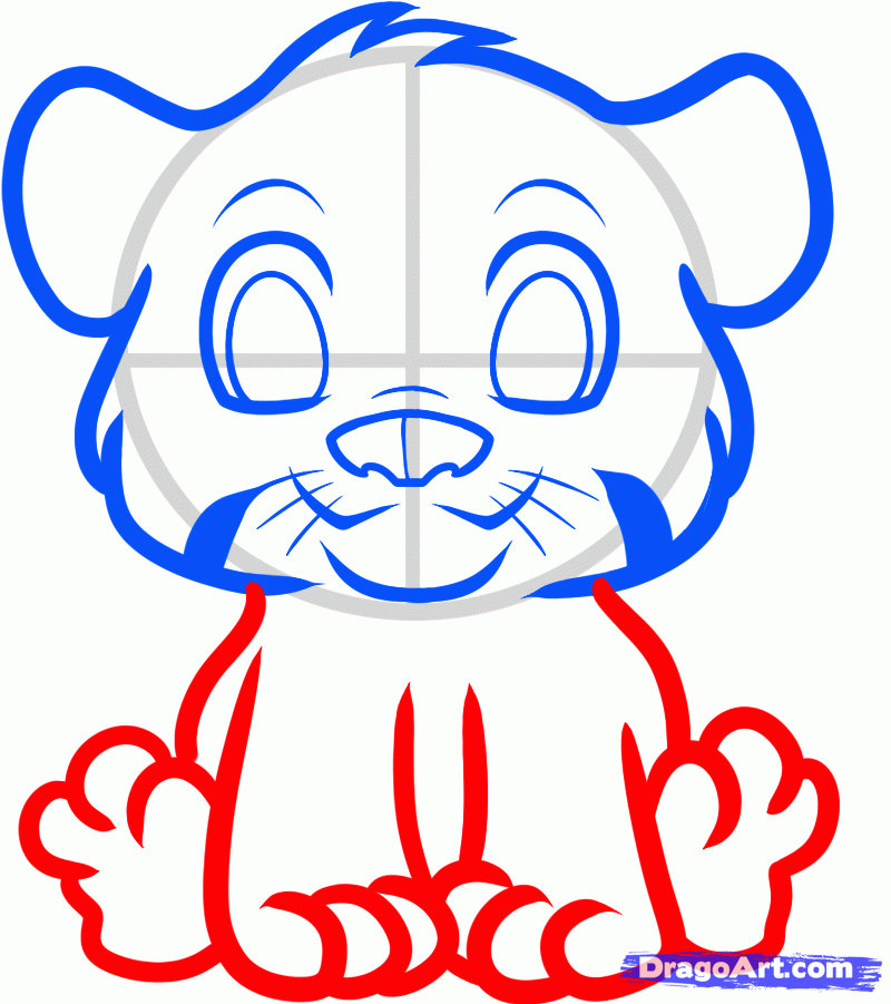 800x901 How To Draw An Anime Tiger, Step