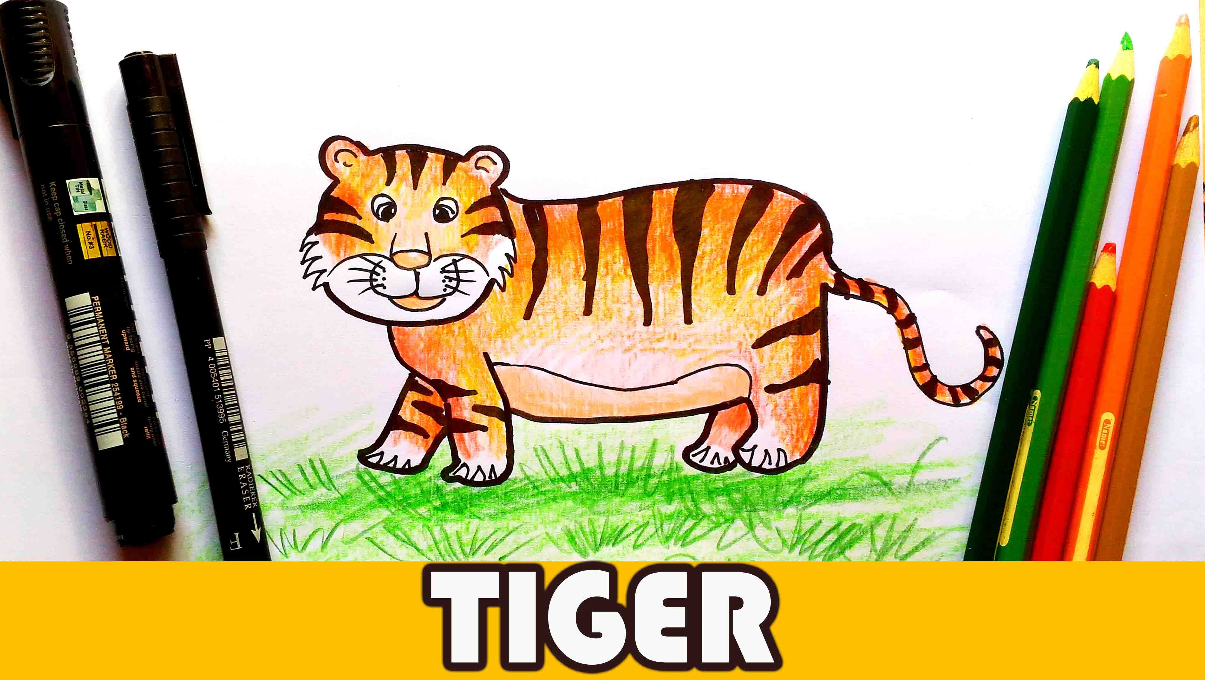4082x2304 Mainstream Kids Tiger Drawing Tigers Cartoon How To Draw A Easy