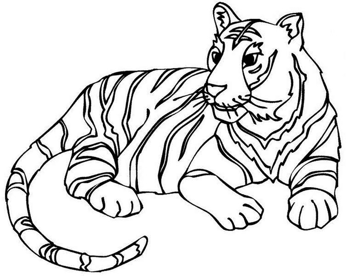 Tiger Drawing For Kids