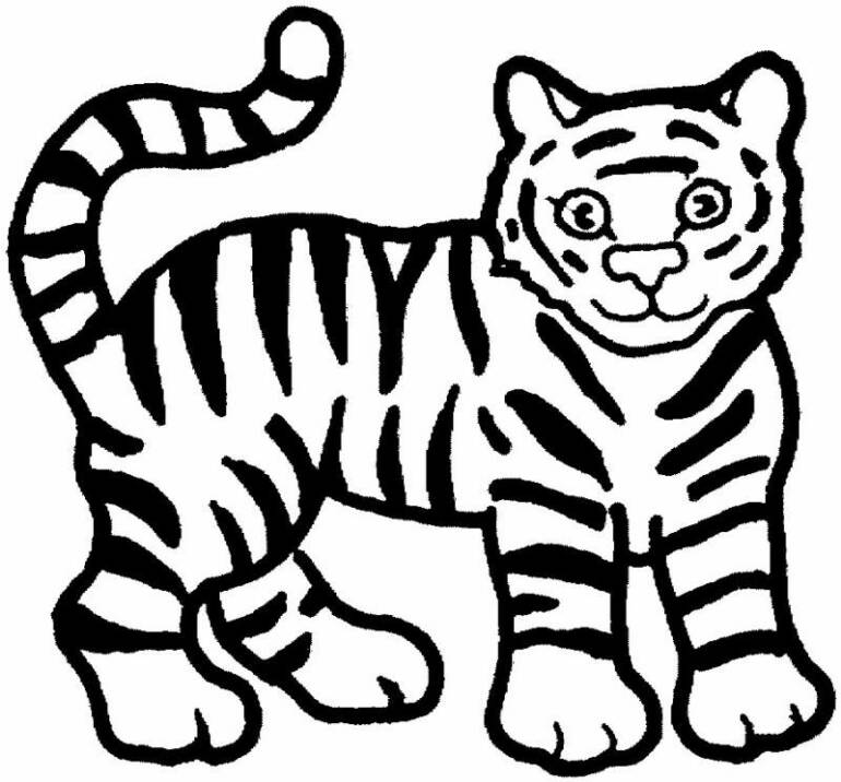770x716 Tiger Drawings For Kids