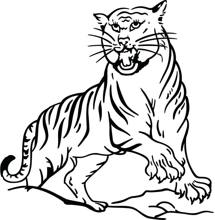 700x714 Tiger Drawing Kids Nip