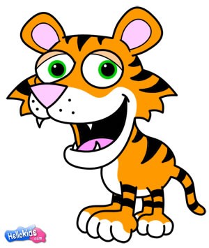 300x355 How To Draw How To Draw A Tiger