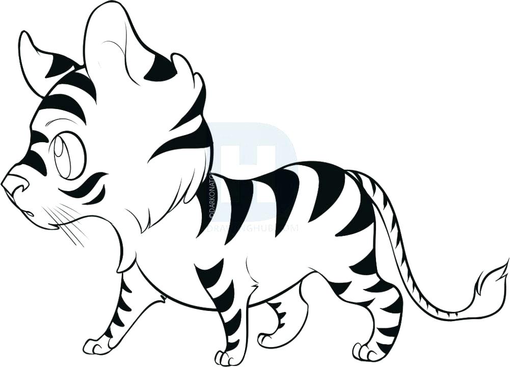 1001x720 Tiger Drawings Art Description Cute Tiger Drawings Easy