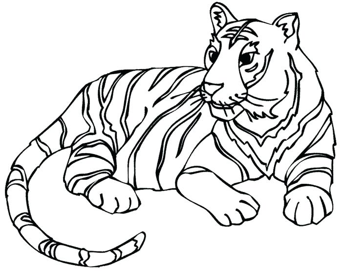 700x556 Tiger Template Kids Drawing Strand Direction