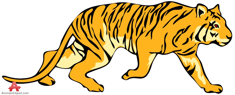 999x404 Tiger Drawn Fun Pics Images
