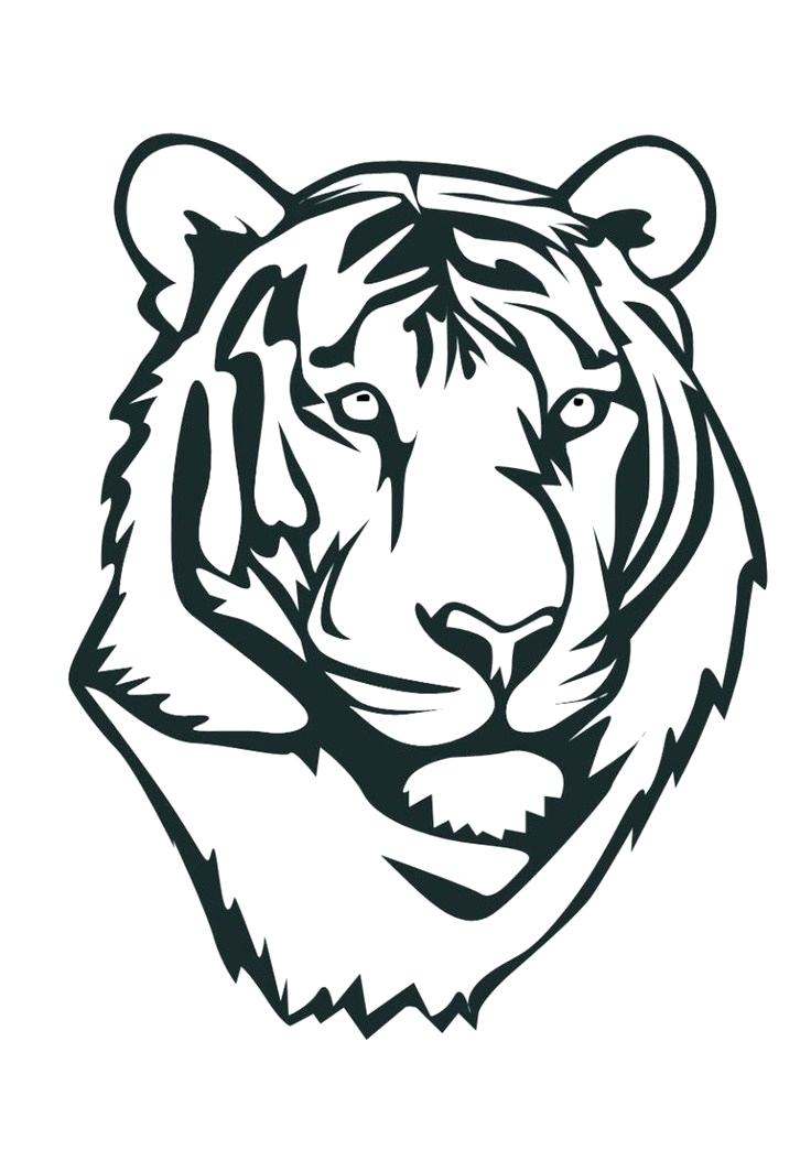 736x1044 Draw Tiger Face