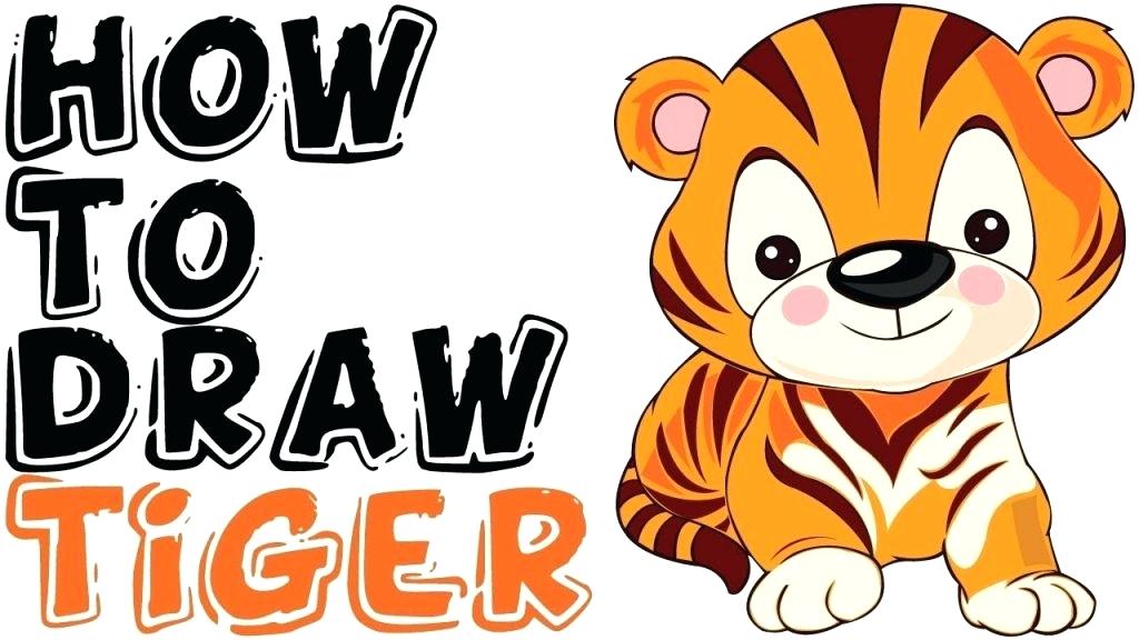1024x576 How To Draw A Tiger Step