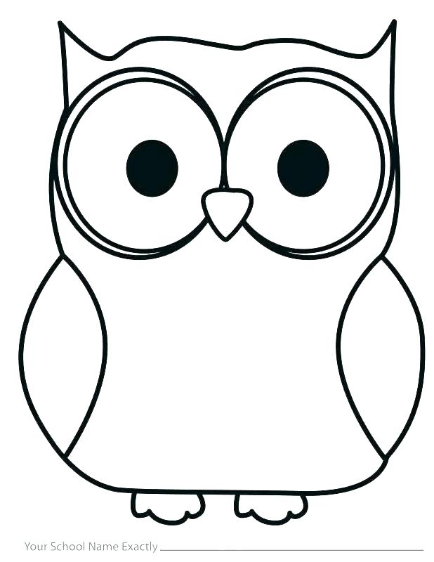 618x800 Owl Drawing Outline Owl Drawing Template Strand Definition Biology