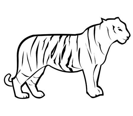 450x394 Tiger Outline