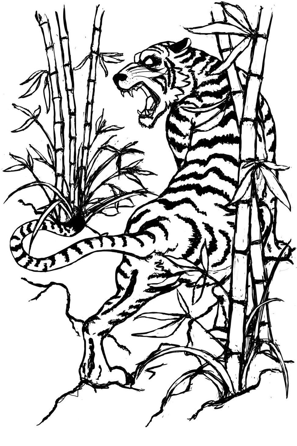 973x1459 Tiger Outline Drawing Clipart