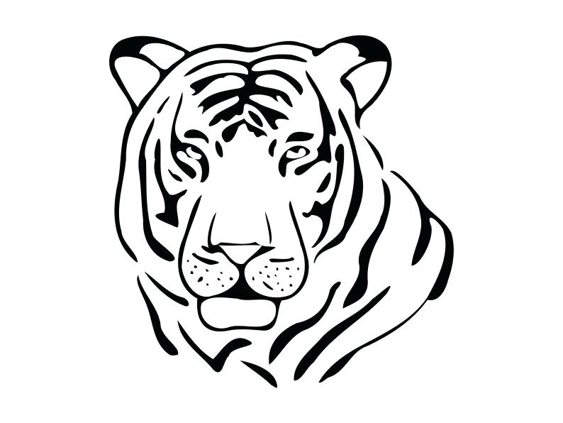 794x596 Tiger Outline Image Tiger Outline Vector Drawing