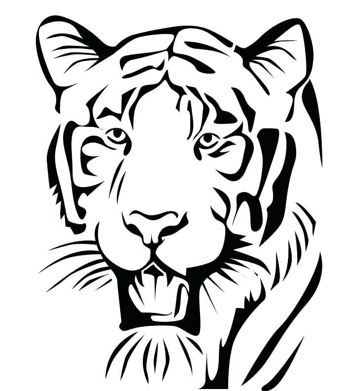 700x792 Tiger Outlines Tiger Face Outline Tattoo