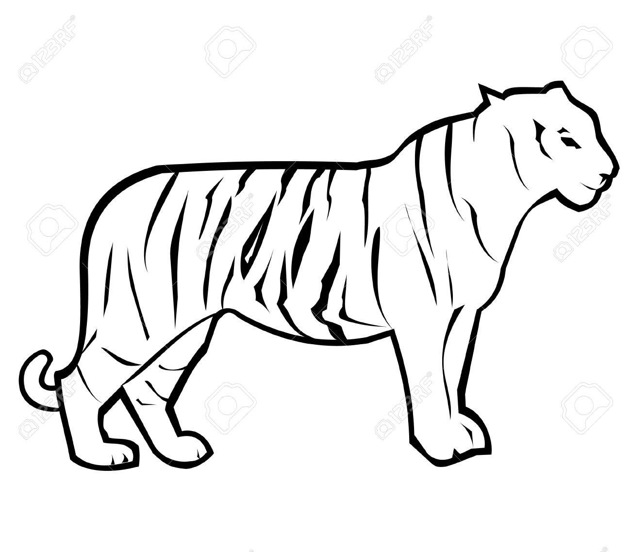 1300x1137 Tiger Outline