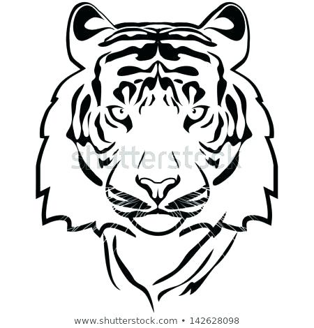 Tiger Drawing Outline | Free download on ClipArtMag