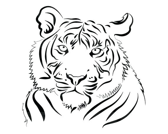 Tiger Drawing Outline | Free download on ClipArtMag