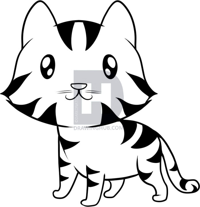 696x720 How To Draw A Tiger For Kids, Step